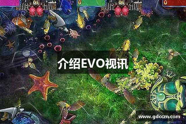 介绍EVO视讯